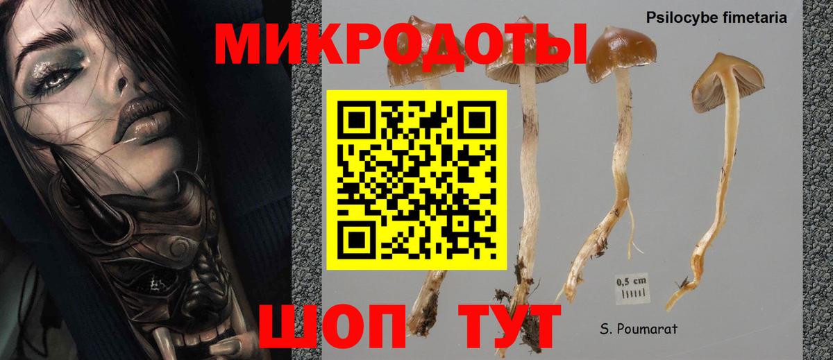 Псилоцибиновые грибы ЛСД Симферополь