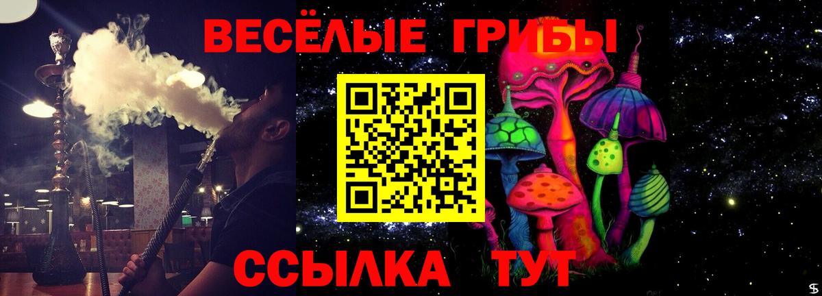 Псилоцибиновые грибы GOLDEN TEACHER  Вход с VPN  Симферополь  Галлюциногенные грибы Magic Shrooms 